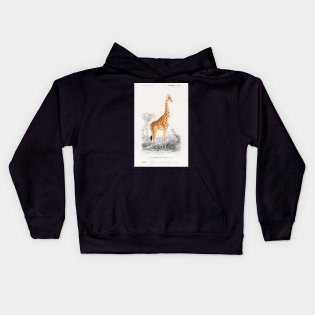 Giraffe (Giraffa camelopardalis) Kids Hoodie by Melty Shirts